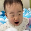 용산꿈나무카페