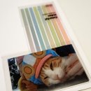 내 맘 대로 그려도 작품이 되는 우리 민화 | 필사하기 좋은 시 추천 ! (+다꾸, 다이소깡, 알리 후기, 고양이 자랑, 일상, 블챌)