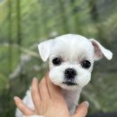 그루밍 모먼트 이미지