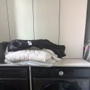 중문세탁소 | 봄맞이 대청소, 중문 유리 청소 미루다 드디어 로봇청소기 써본 솔직 후기with소소살림