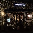 땡큐베리(Thankyou berry) 이미지