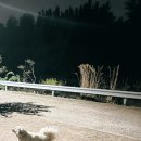 오씨주택 이미지