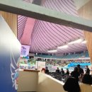 하단태권도체육관 이미지