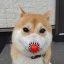 더블유카페 이미지