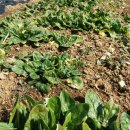 만물농원 이미지