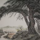 솔의향기 이미지