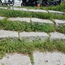 녹번역4, 5번출구 | 녹번만화도서관📚