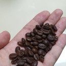 마이야르 이미지