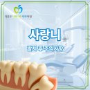 사과나무치과의원 | 부산 덕천 사랑니발치 후 모든 것을 정준우 사과나무치과가 알려드립니다