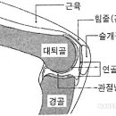 바름관리 이미지
