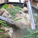 재범곤드레 이미지