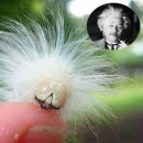 미주리헤어 이미지