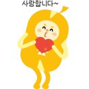 윌공인중개사사무소 이미지