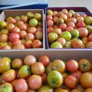 온세미로 아파트 이미지