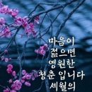 휘셔