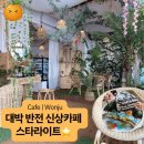 티앤스타빌딩 | 원주 명륜동 신상카페 스타라이트 | 디저트에 홀딱 반하고 온 방문후기