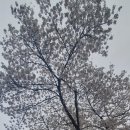 중앙경찰학교1식당 이미지