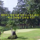 그린월드트래블