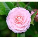 운중체육공원2 이미지