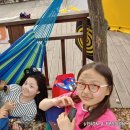 휴리조트캠핑장 네이버블로그