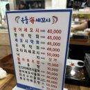 19세꼬시 | [화서역 맛집] 옥돌해세꼬시: 내돈내산 후기