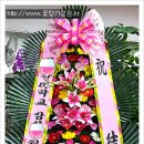 드씨엘관광호텔 이미지