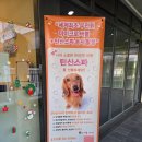 동그리아 이미지