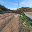 우용농장 이미지