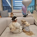 코바늘소품만들기 | 뜨개가방 아기를 위한 코바늘 가방 만들기 패키지