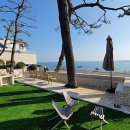 소나무집 이미지