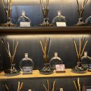 다니엘짐 | 성수 팝업스토어 추천 실내 놀거리 가득한 다니엘트루스 데이트 코스 추천