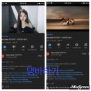 댕바라기 이미지