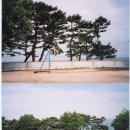 죽천초등학교 이미지