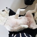 (주)우리생약 네이버블로그
