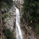 신강목장 이미지