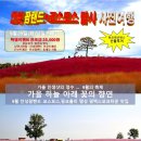 정수 팜랜드 Daum카페