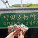 덕양초교 네이버블로그