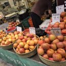 정일상회 이미지