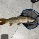 대동실내낚시터 이미지