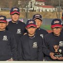 탄금야구장 이미지