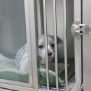 오산25시종합동물병원 이미지