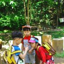 선창초교병설유치원 이미지