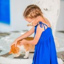 애묘(고양이)백과 - 에게안 (Aegean Cat) 이미지