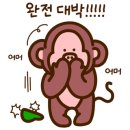 Y모터스(와이모터스) 이미지