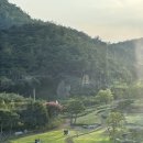 경남 양산 부산 근교 힐링카페 추천 ‘느티나무의 사랑 카페’