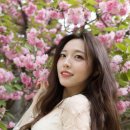 늘푸른전당 이미지