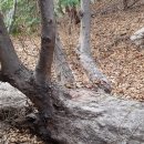 오리나무약수터 이미지