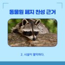 푸마2농장 이미지