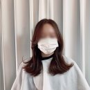 빌드404