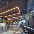 원트핏 이미지